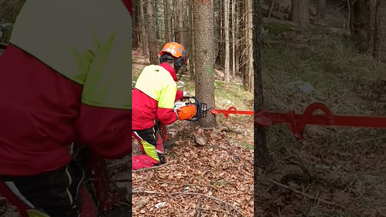 Stay fokused - stay alive #STIHL #f&auml;llheber #ms261c #k&auml;ferbaum