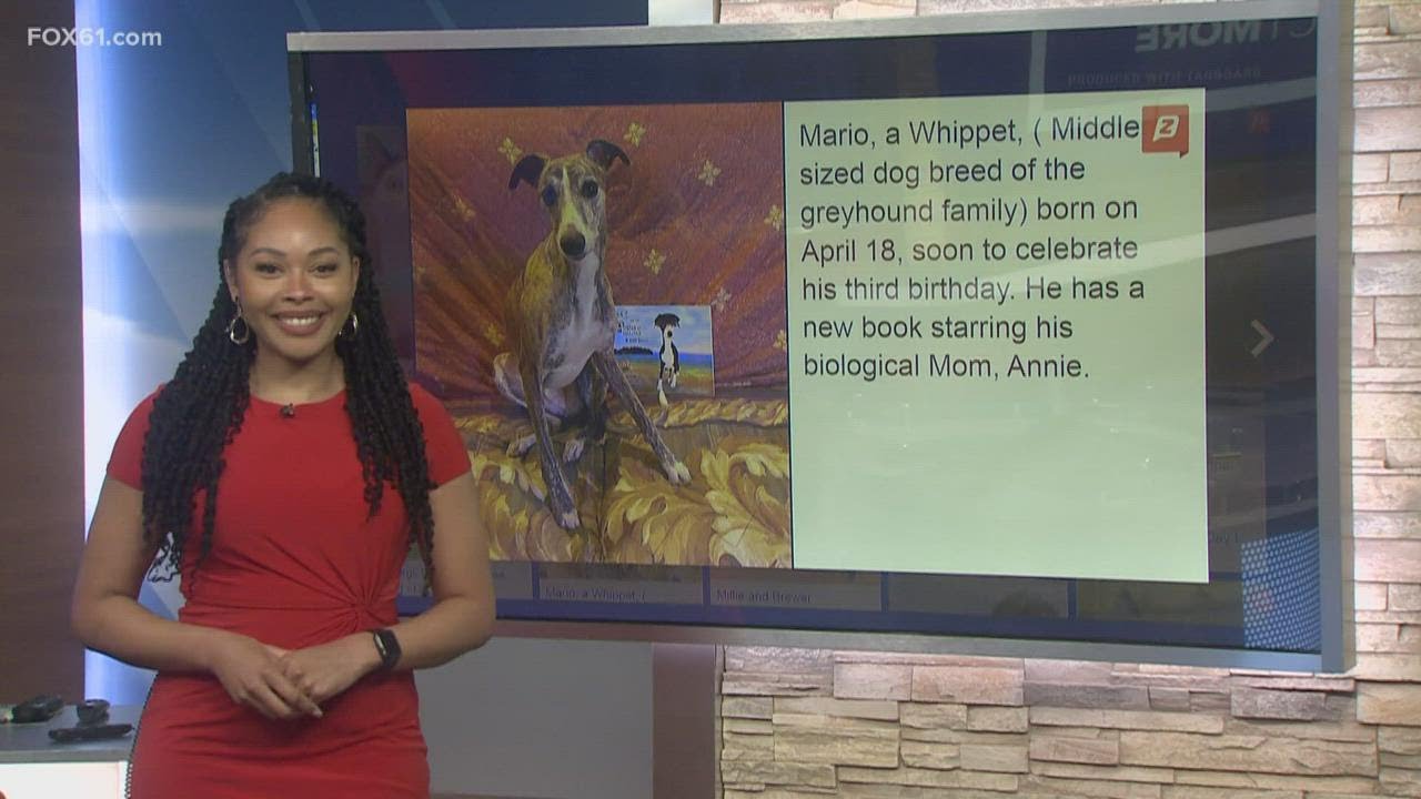 The Buzz: Pet parents show their pets for National Pet Day