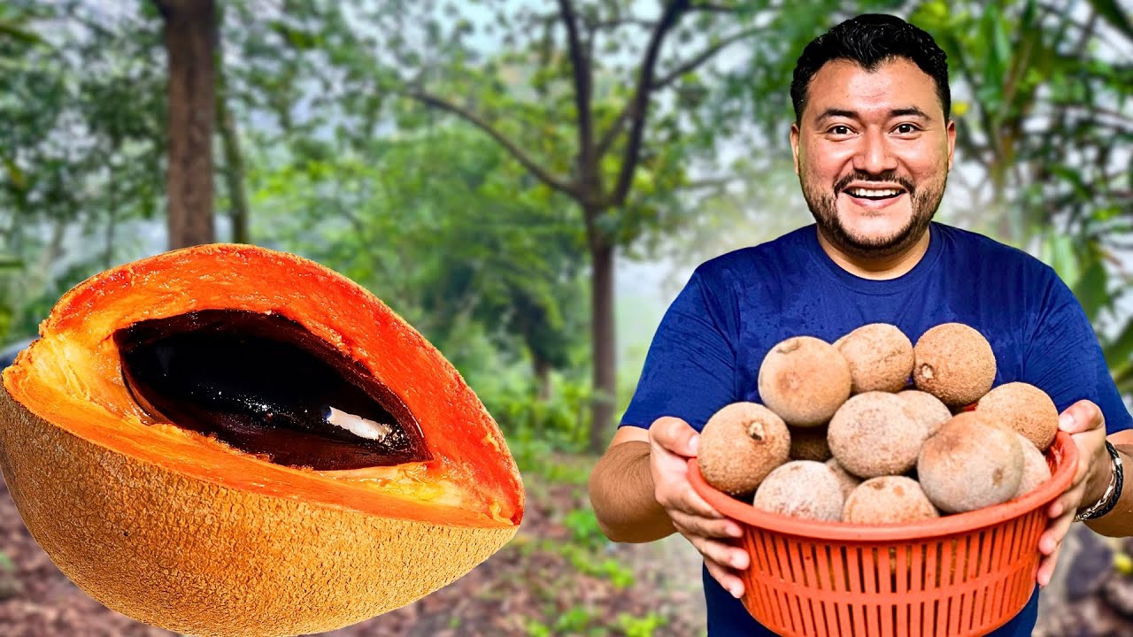 TEMPORADA DE RICOS ZAPOTES en EL SALVADOR | Fruta muy buscada