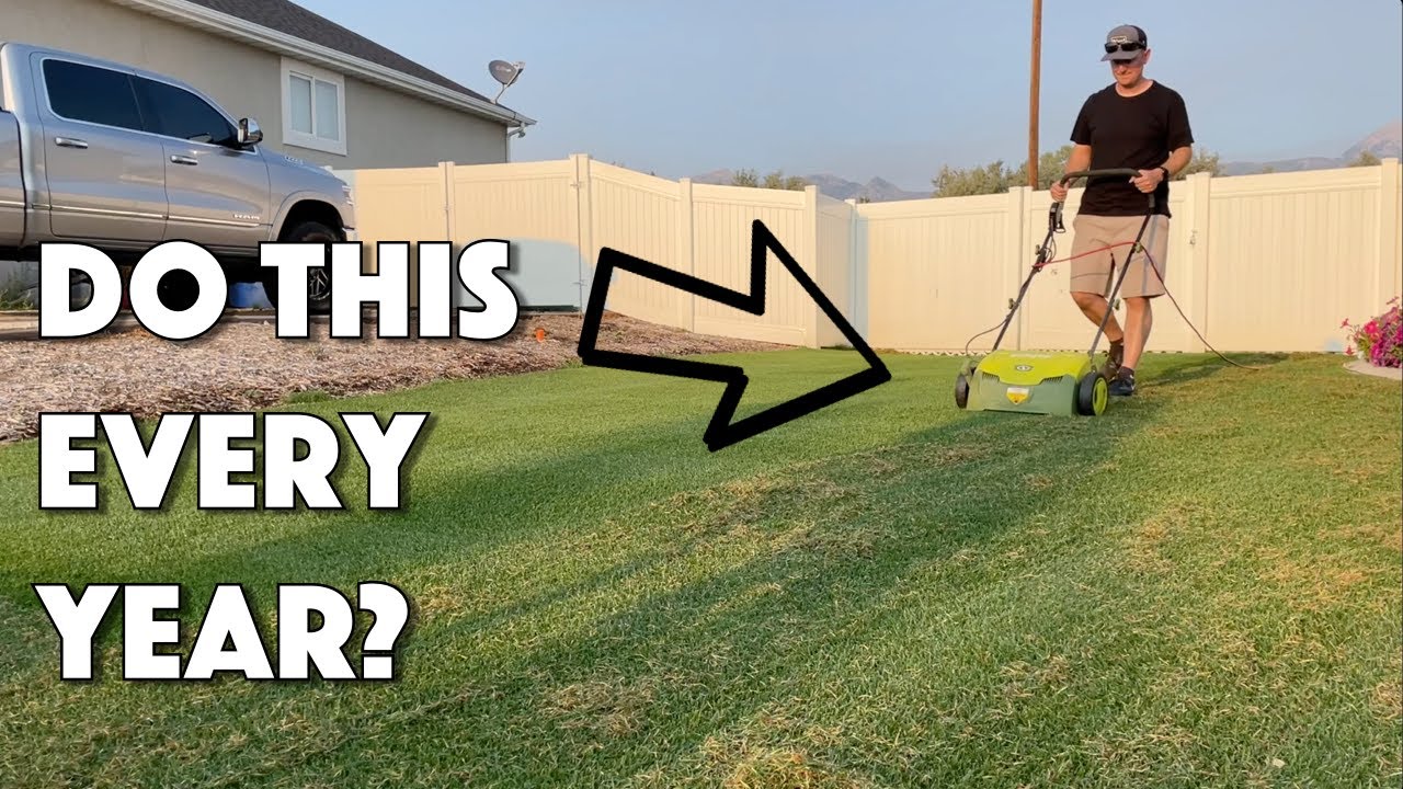 Do You NEED To DETHATCH Your Lawn EVERY YEAR???
