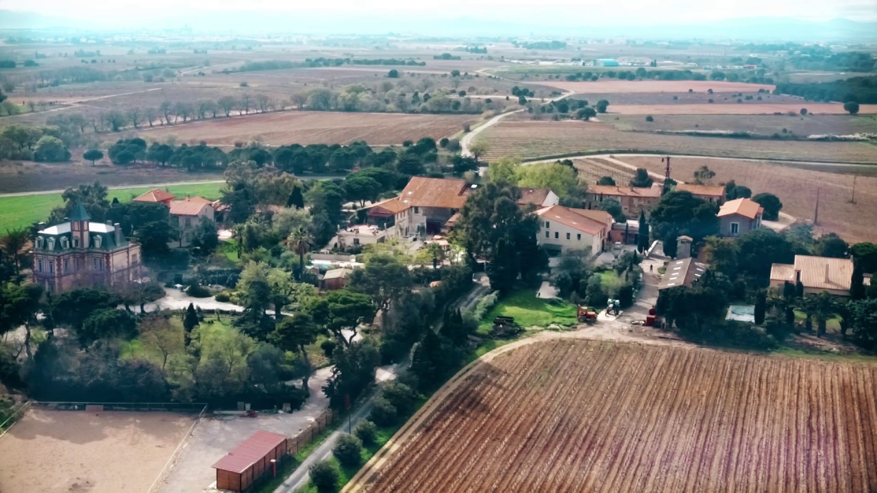 Le vin du château de Rey | Restaurant Vigatane