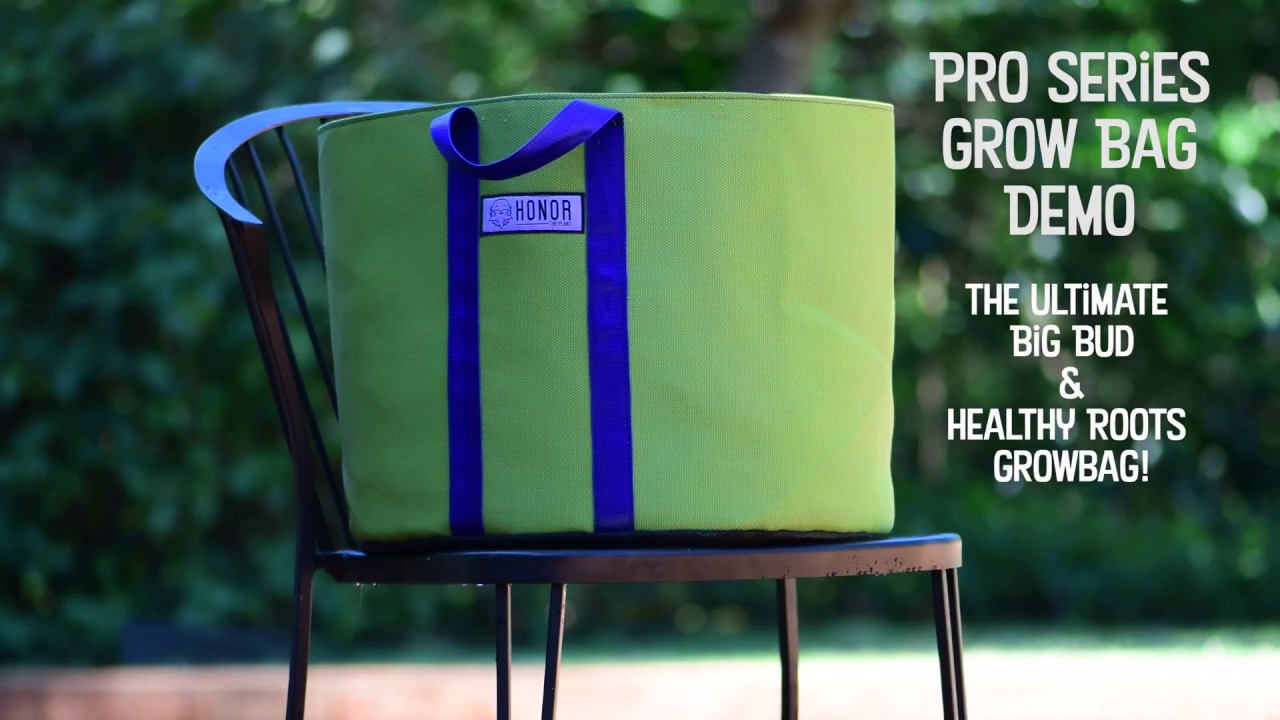 ULTIMATE Grow Bag! Демонстрация Honor Pro Series за 1 минуту