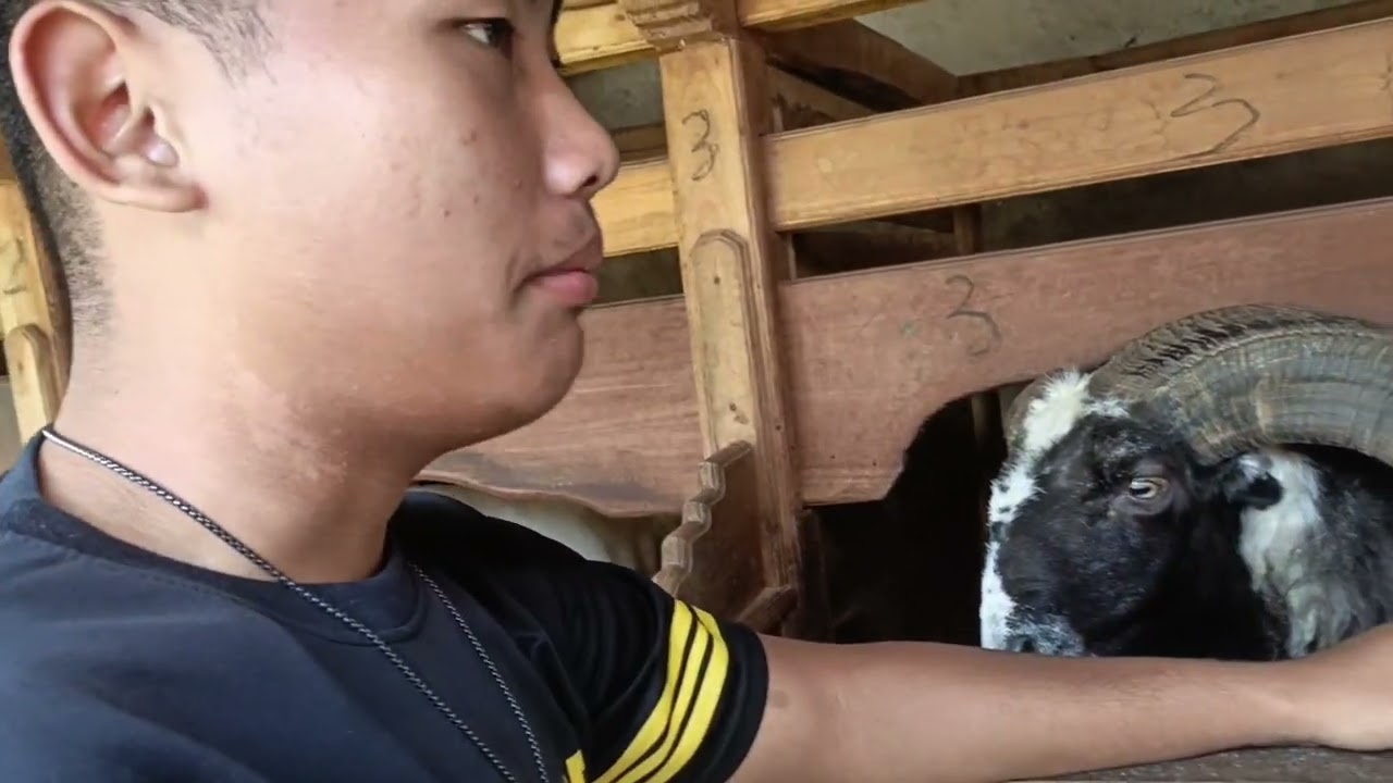 Penugasan akhir sosiologi