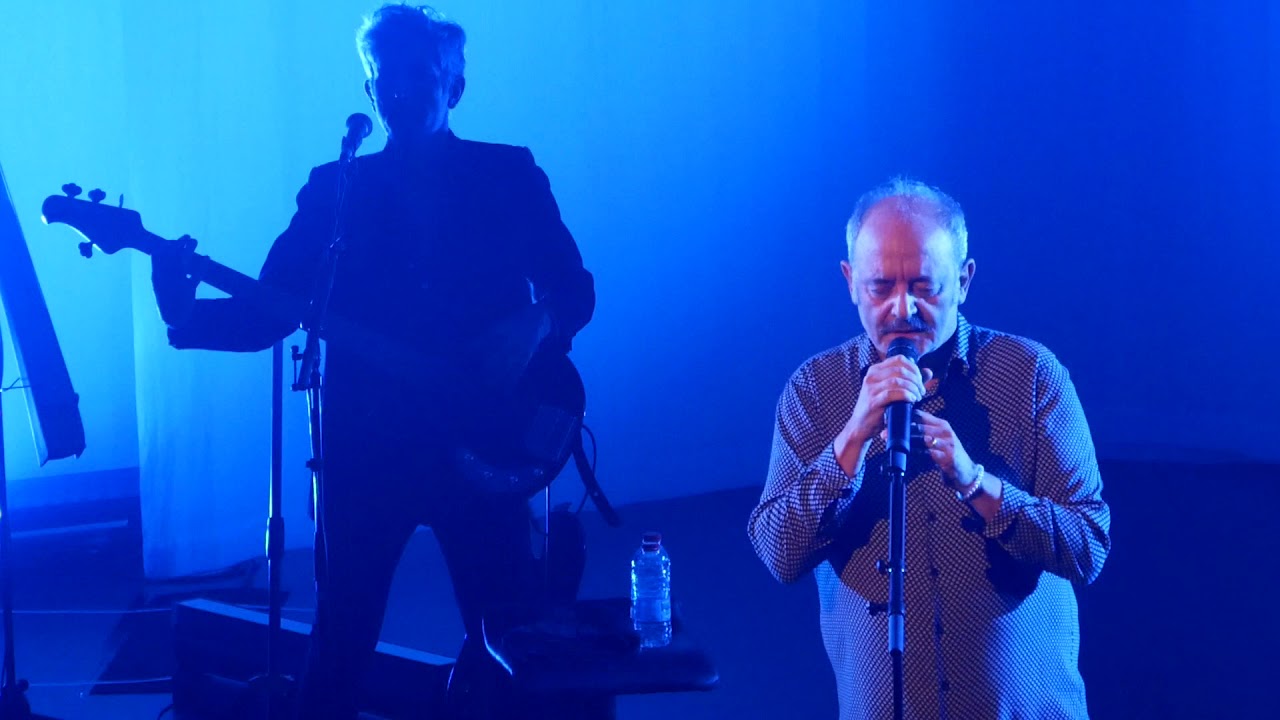 Louis Chedid 