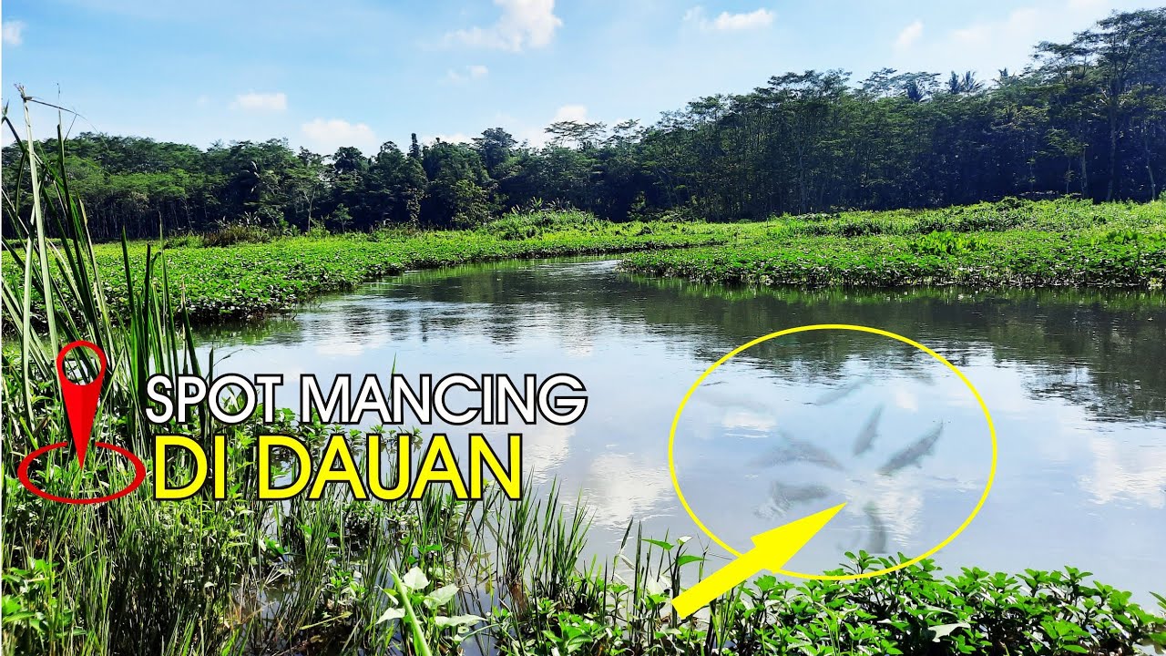 Spot Mancing di Dawuan/ Mbureng Gondanglegi Malang