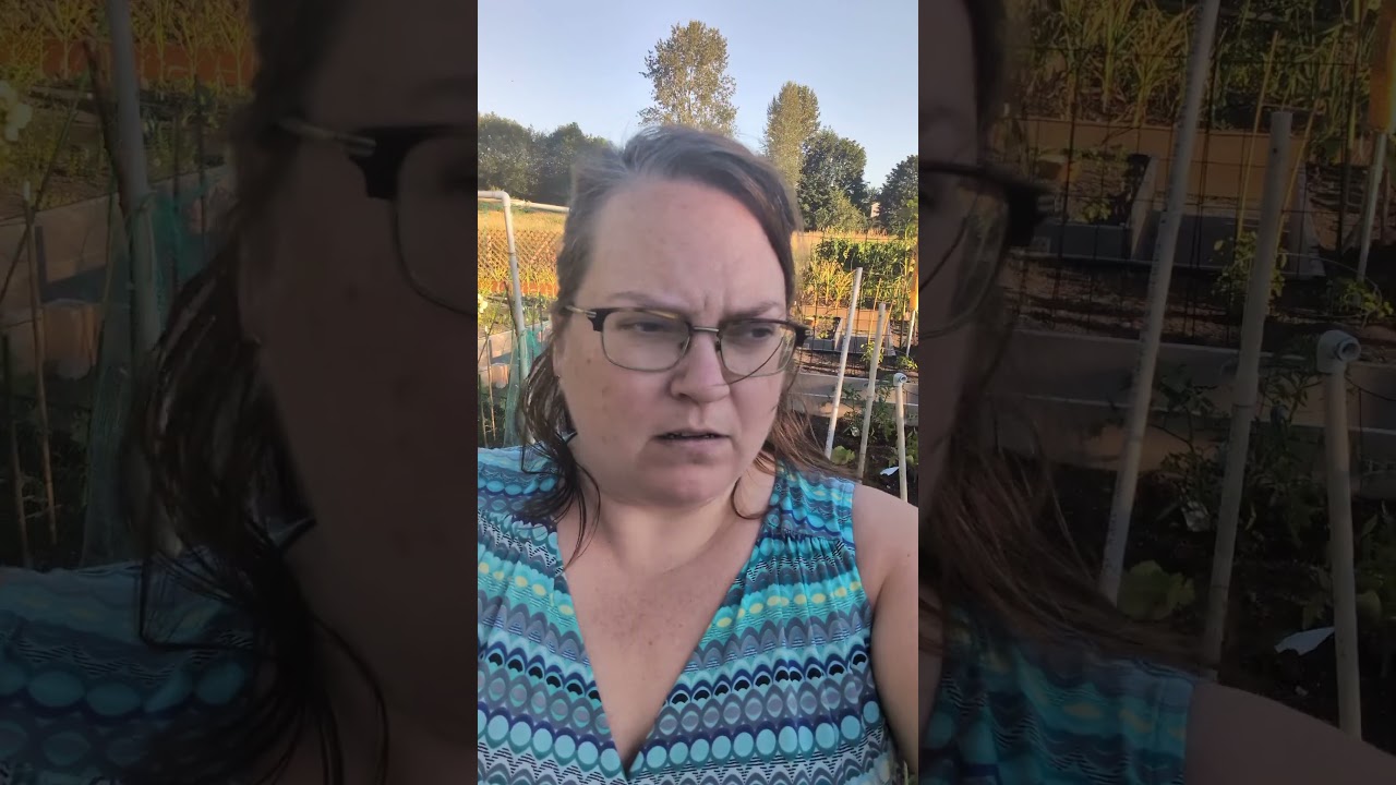 Community Garden Problems