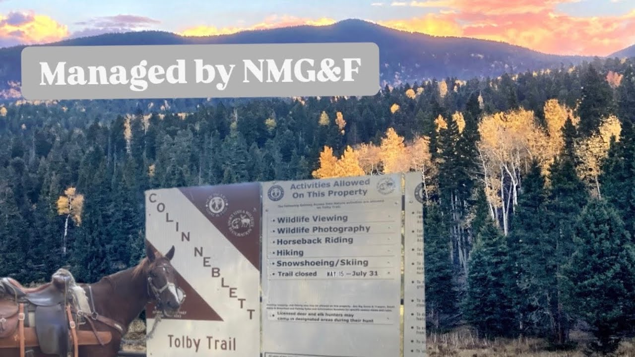 New Mexico WMA: Colin Neblett
