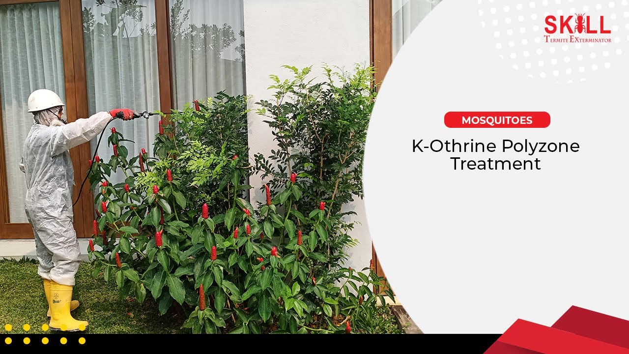 K-Othrine Polyzone Treatment