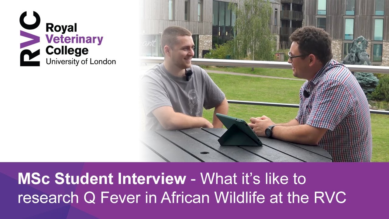 What It’s Like to Research Q Fever in African Wildlife at the RVC – MSc Student Interview