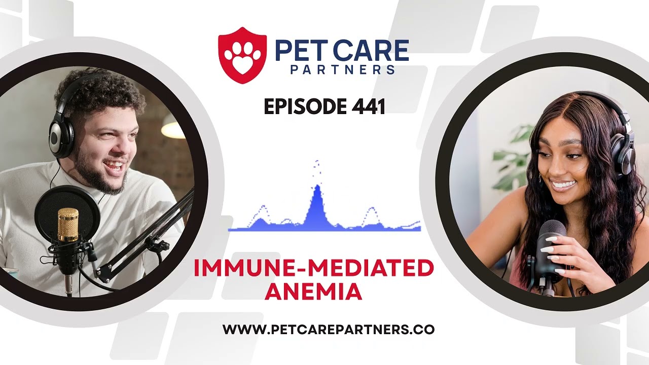 EP 441: Immune-Mediated Anemia in Dogs & Cats – Diagnosis Treatment & Prognosis | Pet Care Partners