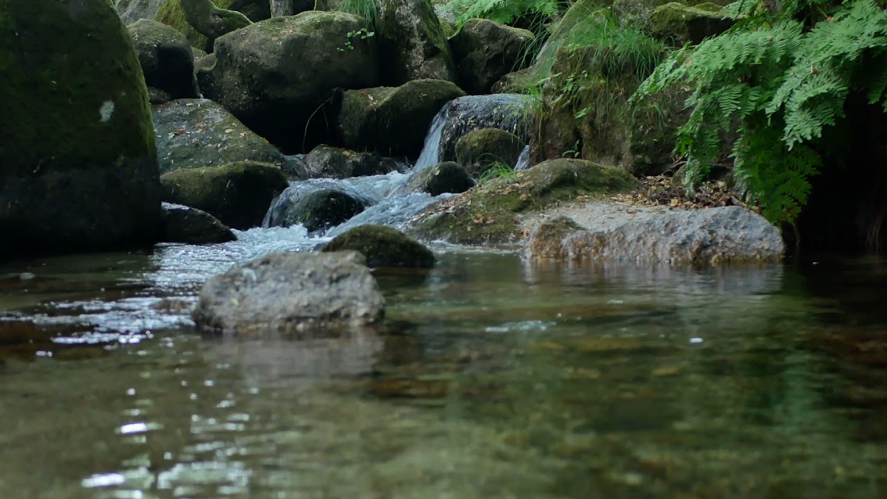 Water Flowing Over Rocks Royalty-Free / No copyright / Stock Video