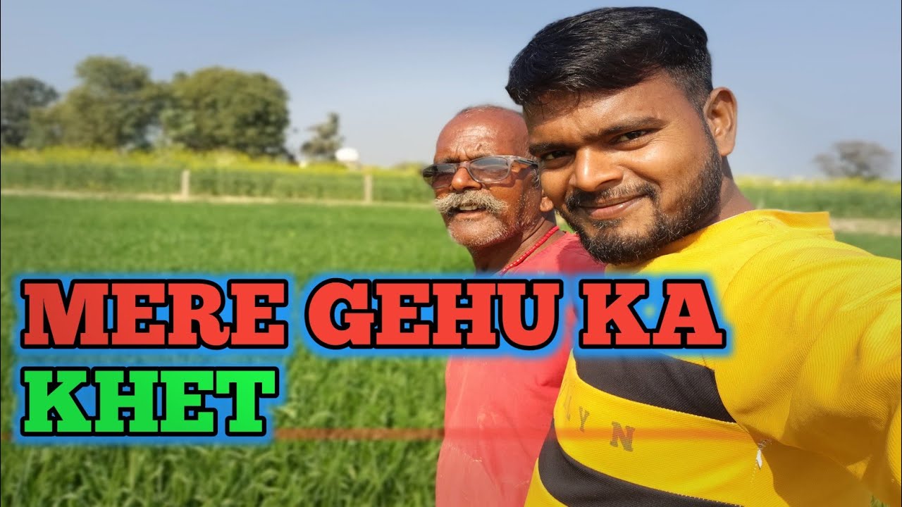 Gehu Kaise Ugaya Jata Hai🤔