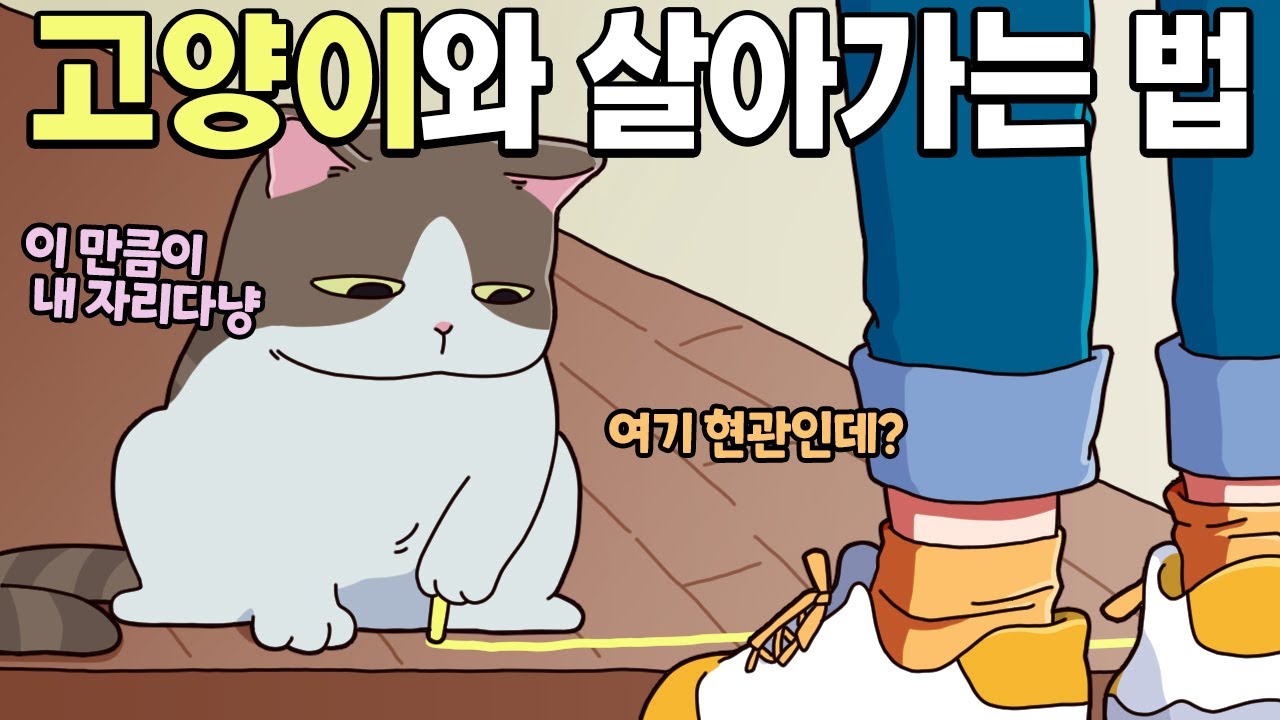 고양이랑 살아가는 방법