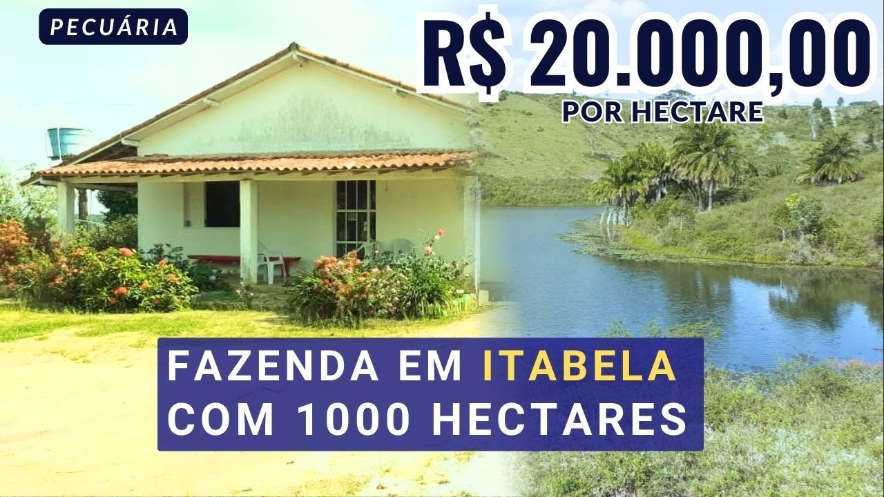 💧 Fazenda 1000 Hectares ITABELA-BA: MUITA ÁGUA (2 Córregos + 21 Represas!) - R$20 Mil/ha! 💧