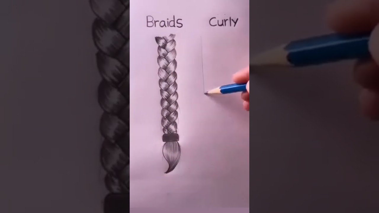 Braids and curly hair Drawing sketch 
