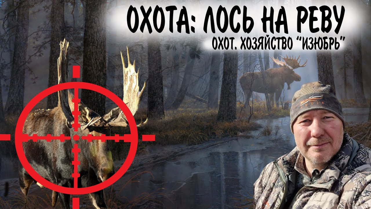 ОХОТА НА ЛОСЯ / ЛОСЬ НА РЕВУ