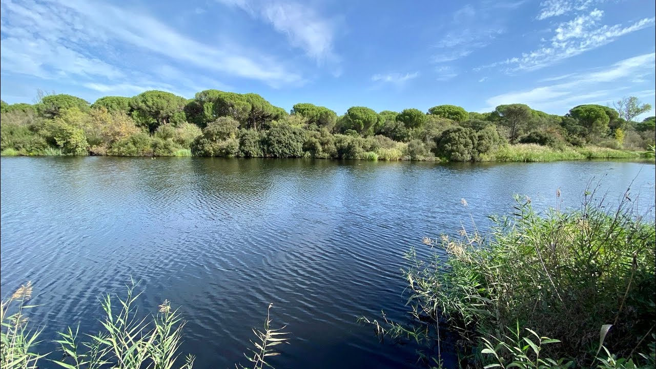 Centros de visitantes: la Rocina y Palacio del Acebrón. Parque Nacional de Doñana. Almonte (Huelva)