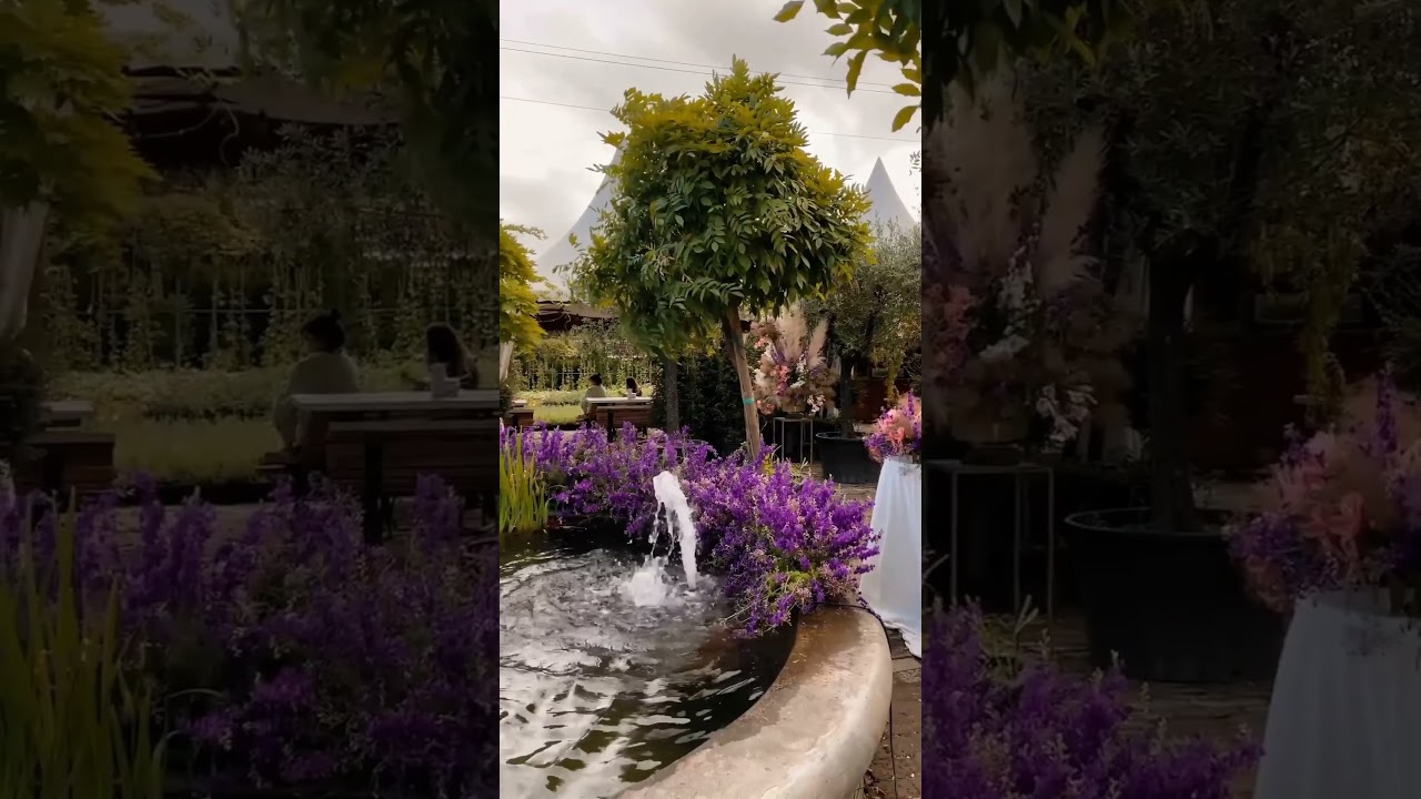 #beautiful  nature#nature#flower garden#water fountain#shorts#you tube shorts