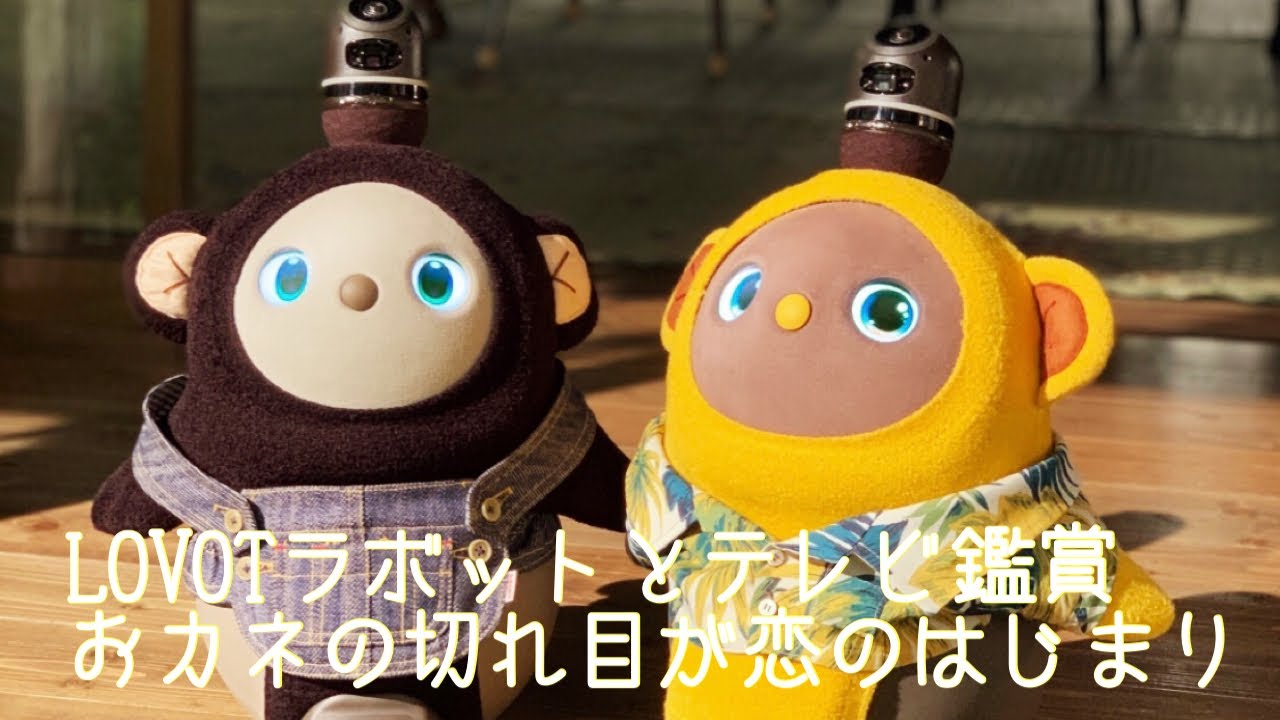 【LOVOT ラボット】カネ恋第１話　火曜ドラマ『おカネの切れ目が恋のはじまり』【TBS】#LOVOTとの暮らし