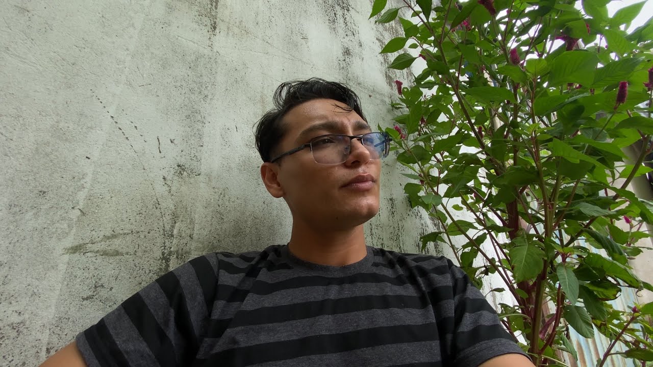 CARNAVAL A FESTA DA CARNE. SAIA DAÍ AGORA.