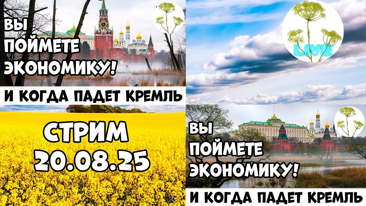 Стрим по видео: Как работает экономика? Что ждать на россии? Кто врет, набиулина или зубаревич?