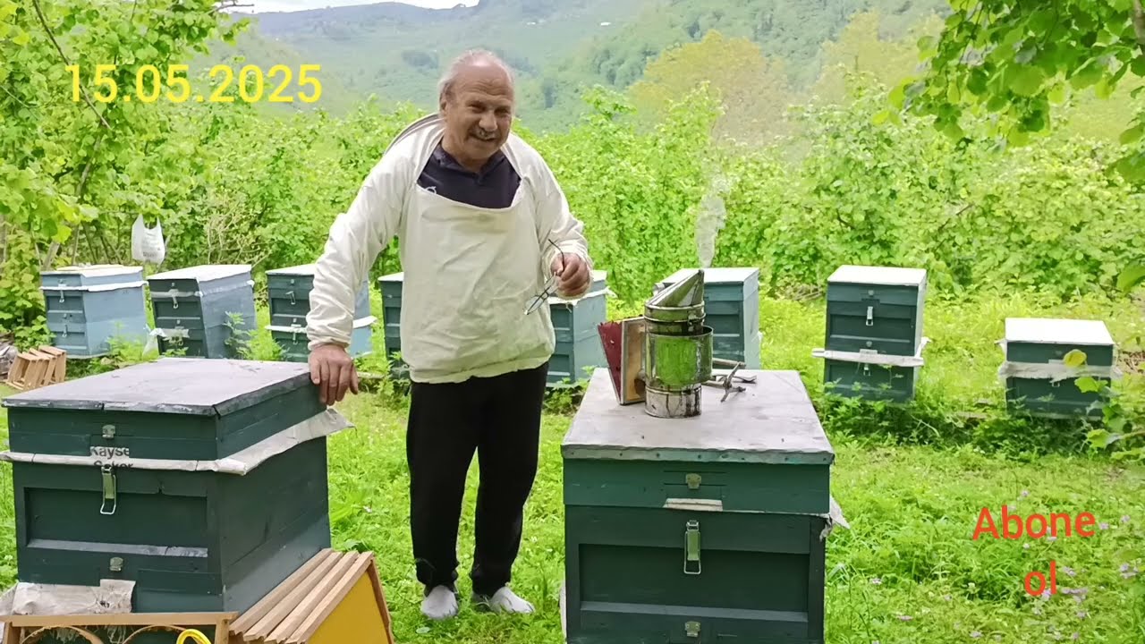 Alt Kuluçkalığı Sabitleme ve Arıyı Üst Kasada Çalışır Pozisyona Getirmek.