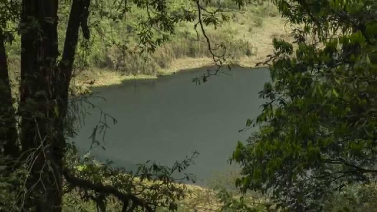 Sikkim Diaries  Prasenjeet Yadav