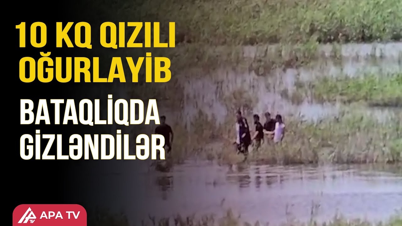 Şamaxıda oğurluq edib Şirvanda ələ keçdilər – APA TV