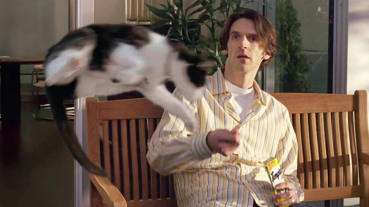 TEMPTATIONS&reg; Treats for Cats | Price Chopper Furry Friends