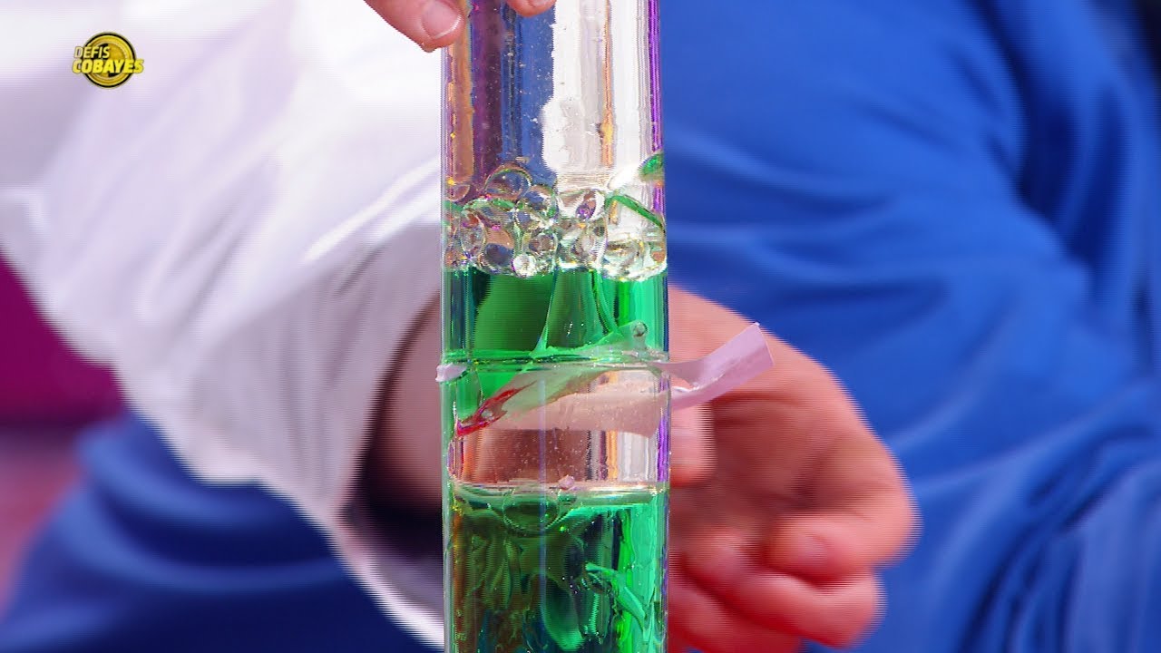 Comment faire un sablier avec de l'eau et de l'huile ? - Défis Cobayes - France 4
