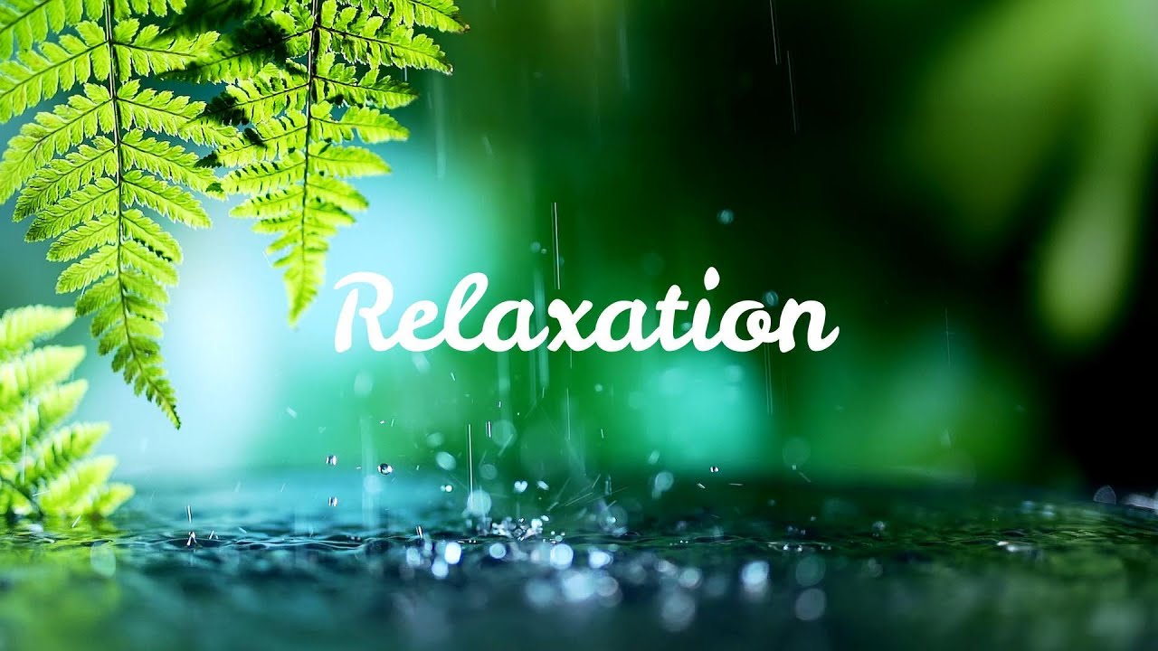 Pure Raindrop Sounds| Stress Relief & Peaceful Sleep #rain