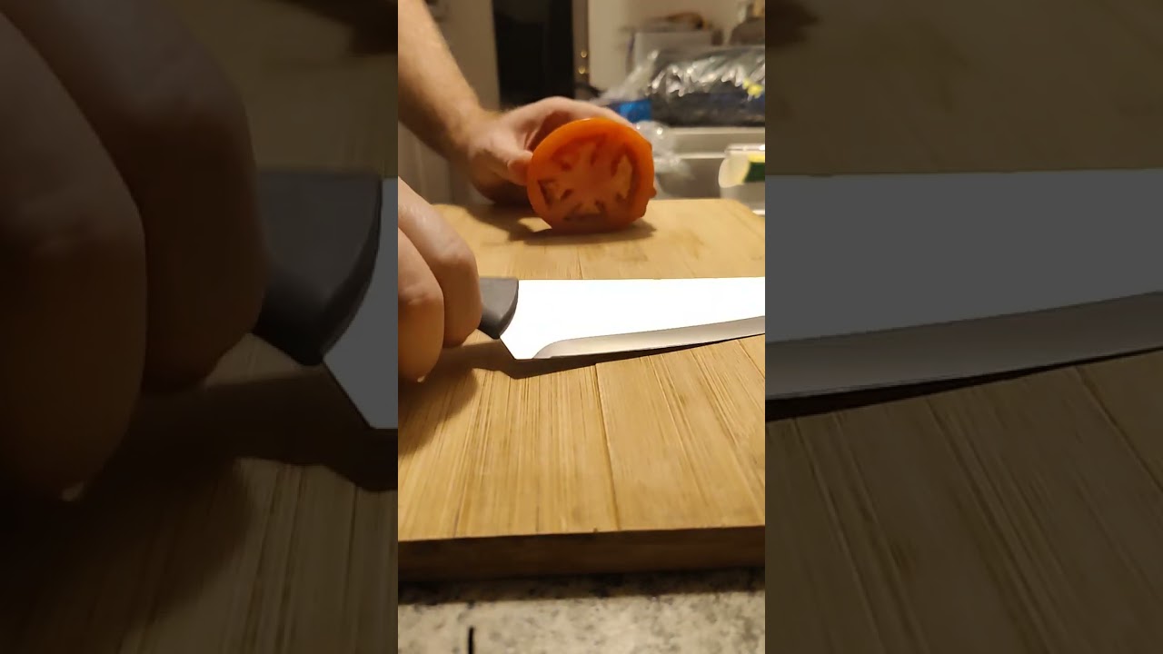 Temu Review of Electric Knife Sharpener