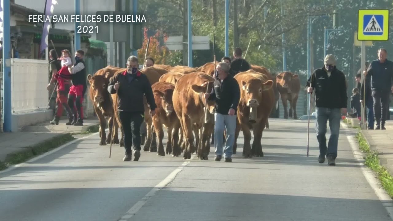 FERIA SAN FELICES DE BUELNA 2021