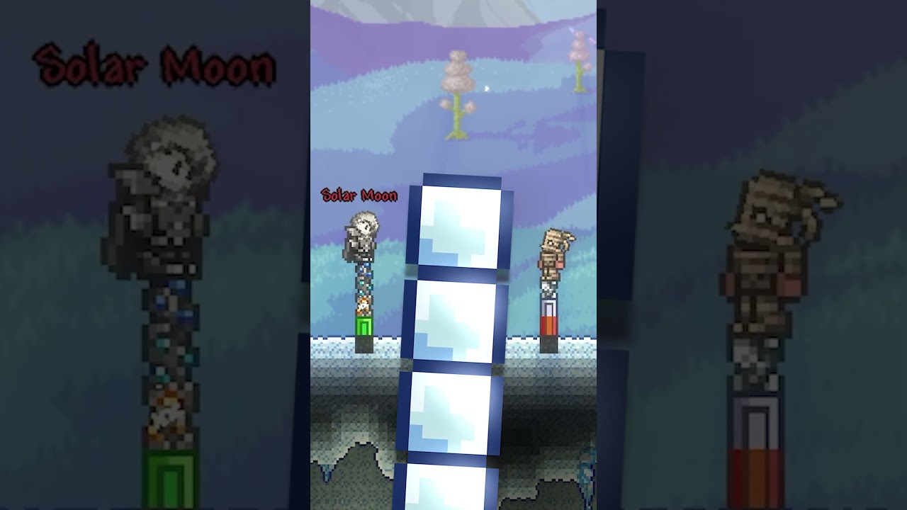 2 Player Terraria TELEPATHY