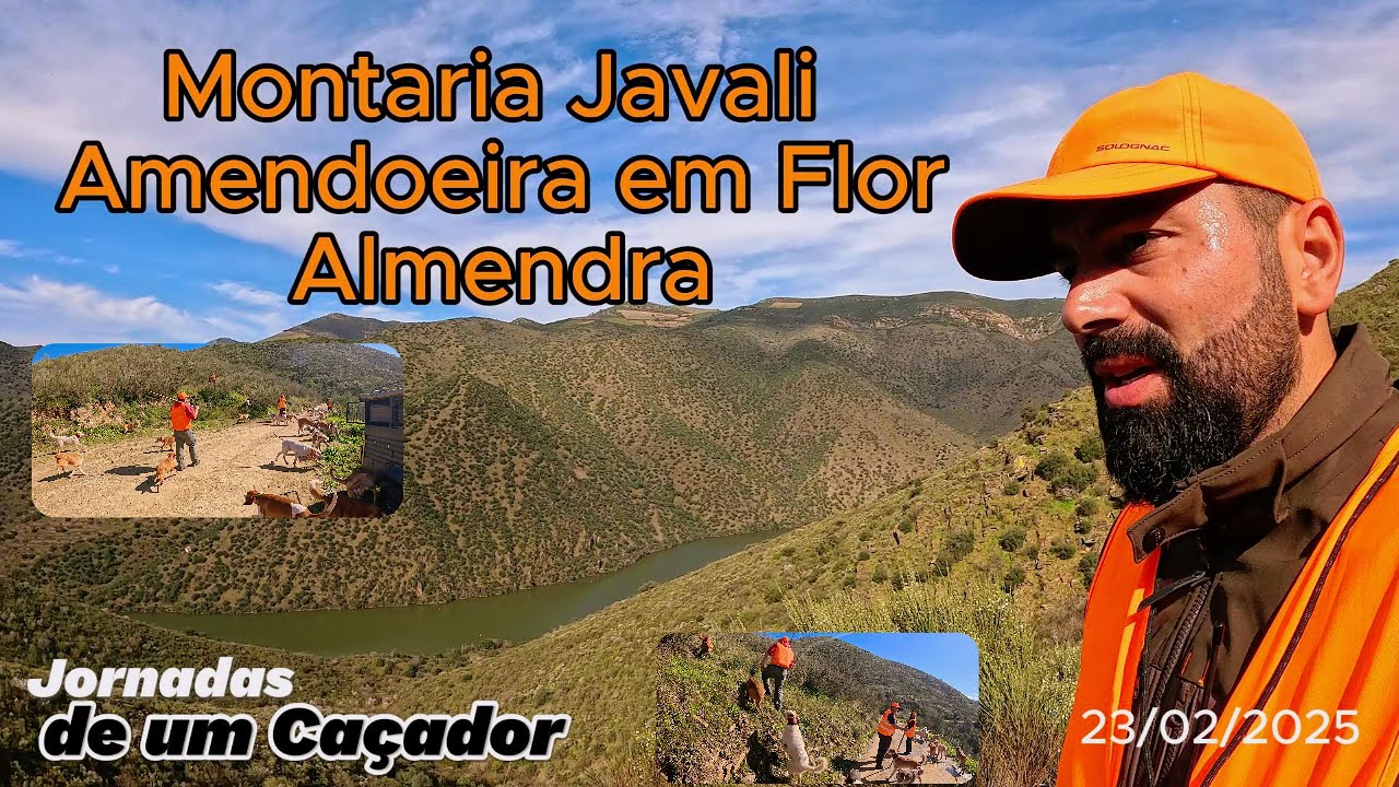 Montaria ao Javali Amendoeira em Flor Almendra 23/02/2025