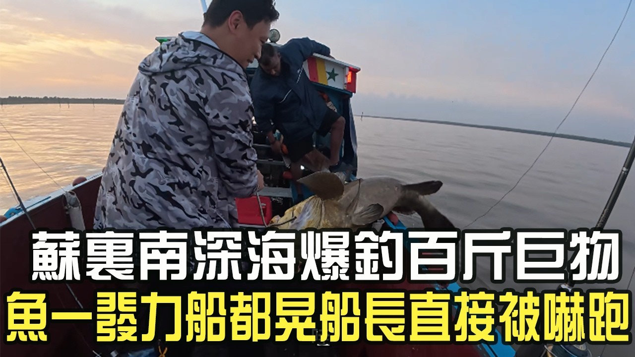 蘇裏南深海爆釣百斤巨物！魚壹發力船都晃，船長直接被嚇跑！#阿牛愛捕魚 #趕海 #釣魚 #石斑魚 #海釣 #蘇裏南