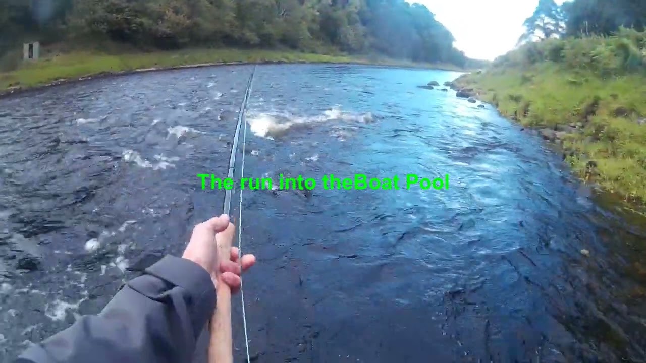 Salmon Fly fishing on the Kinermony beat, River Spey