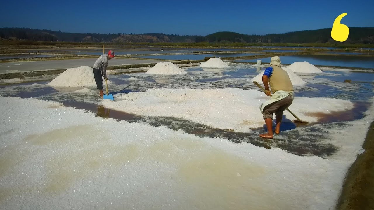 Salineros de Cahuil: La sal sanita que se extrae del mar