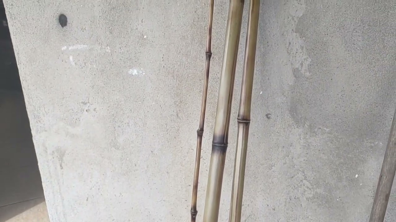 mas um trabalho de vara de bambu pra meus amigos eles gostarão pediu pra fazer pra eles