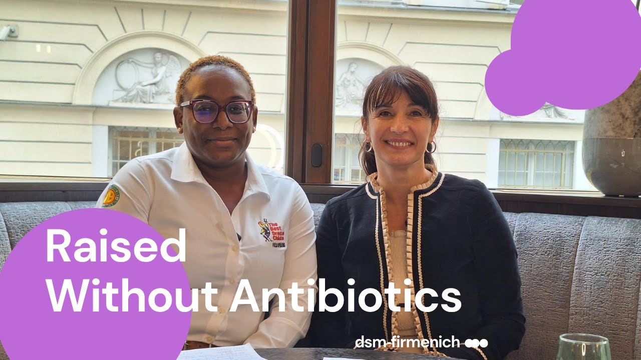 Raised Without Antibiotics: Jamaica Broilers Group Interview