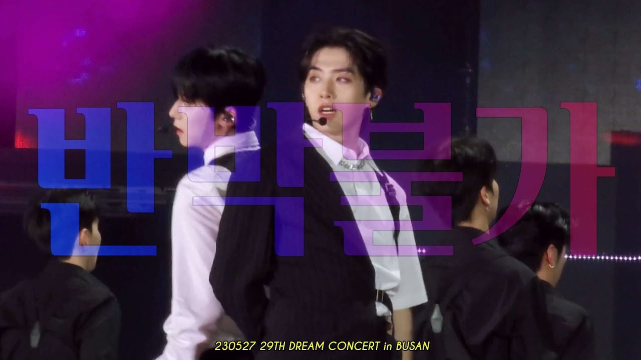 230527 드림콘서트 | 원어스(ONEUS) 반박불가(No diggity) 시온 직캠 | XION focus