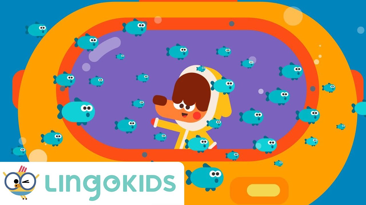 Under the Sea 🌊🐳🦈 Ocean World for Kids | SONG | Lingokids
