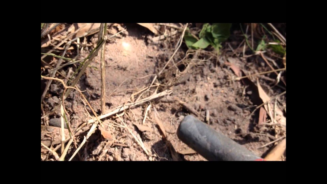 Double Florin Day, Metal Detecting with John24gold1 and the CTX 3030