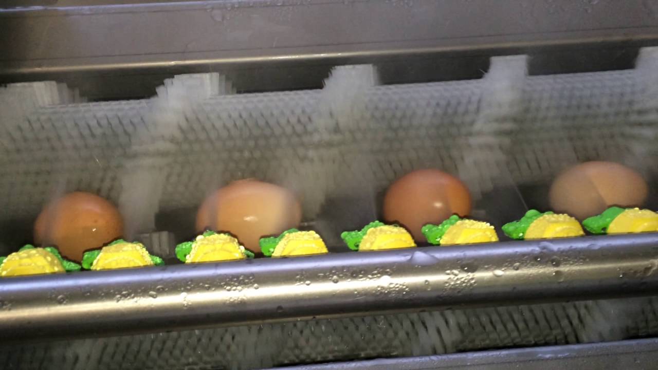 Mach-C Offline-S Egg Washer with Dryer
