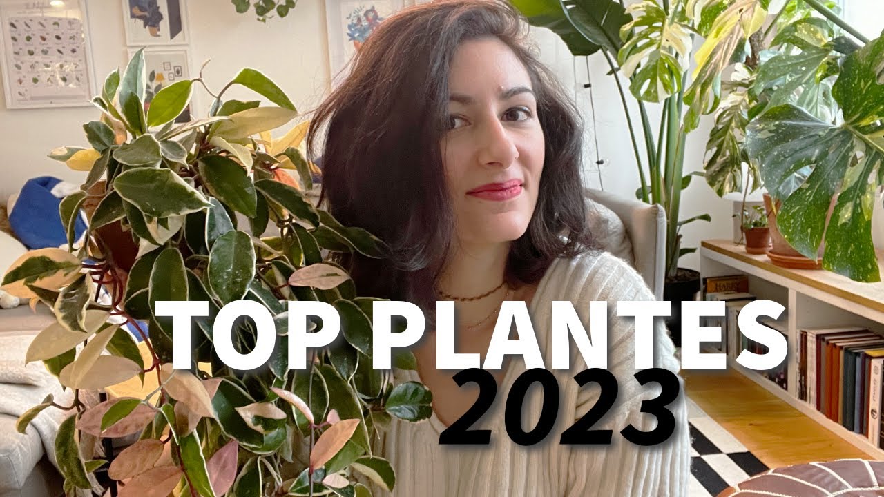 Top plantes 2023 ⭐​🌿
