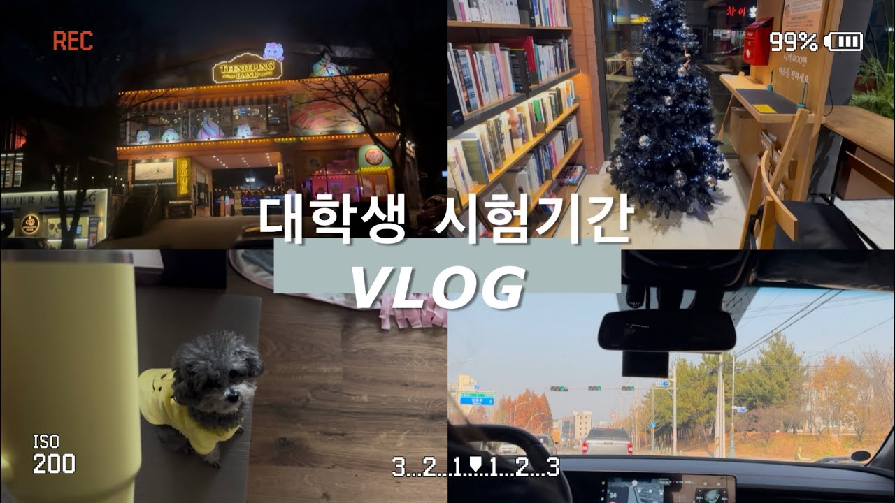 대학생 시험기간 브이로그🫠 | 왕복 2시간 통학러 | 일상 | 액티언 운전 브이로그