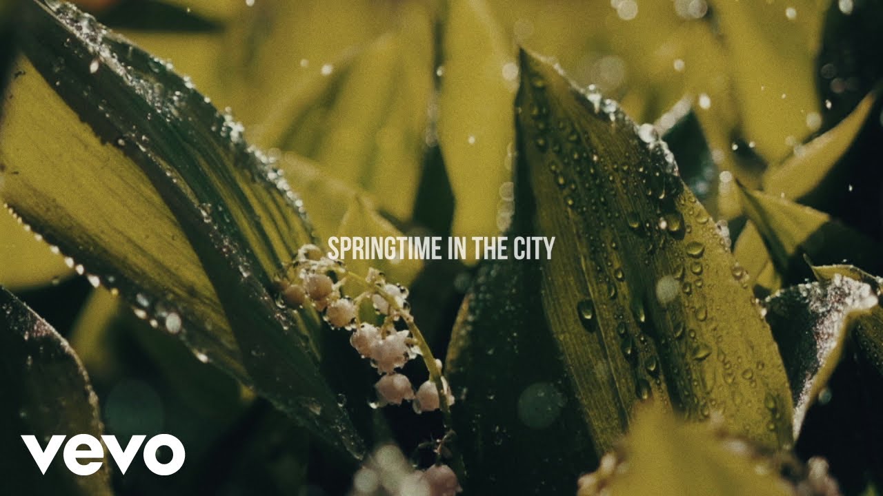 Hozier - Wildflower and Barley