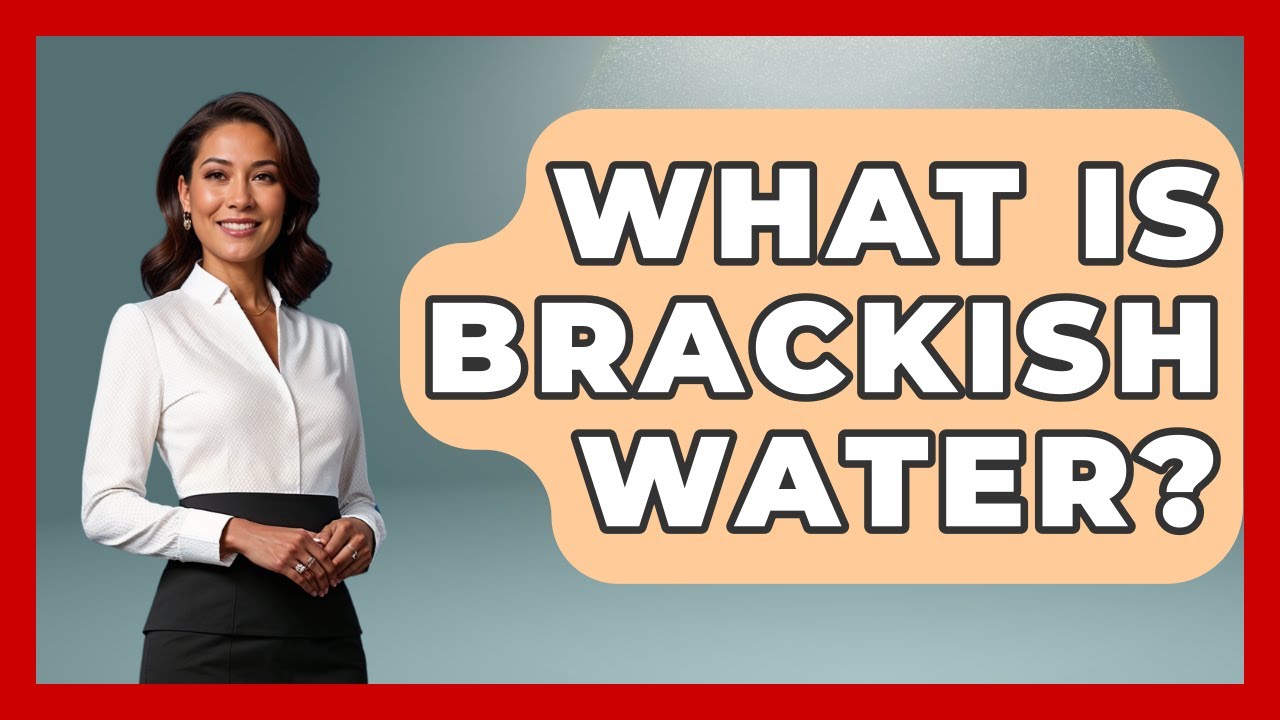 What Is Brackish Water? - The Marine Life Explorer