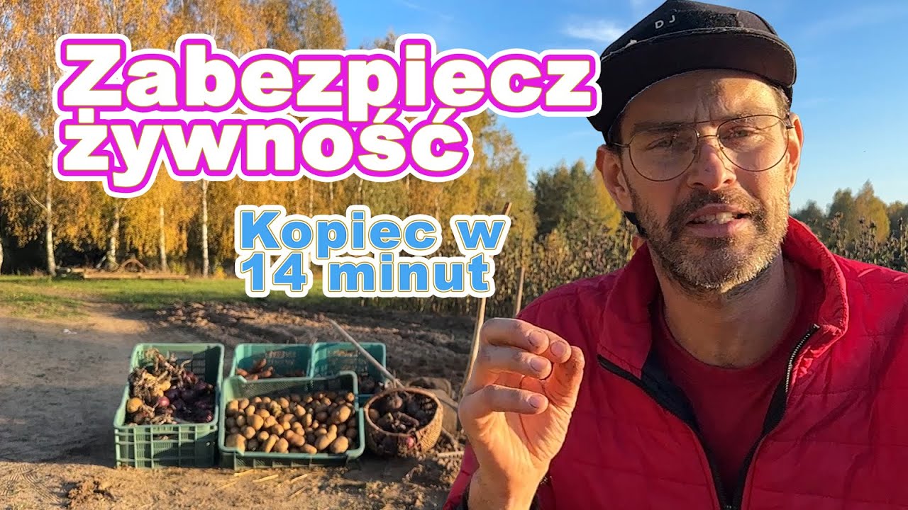 Kopiec na zimę: jak przechować marchew, ziemniaki i buraki bez lodówki