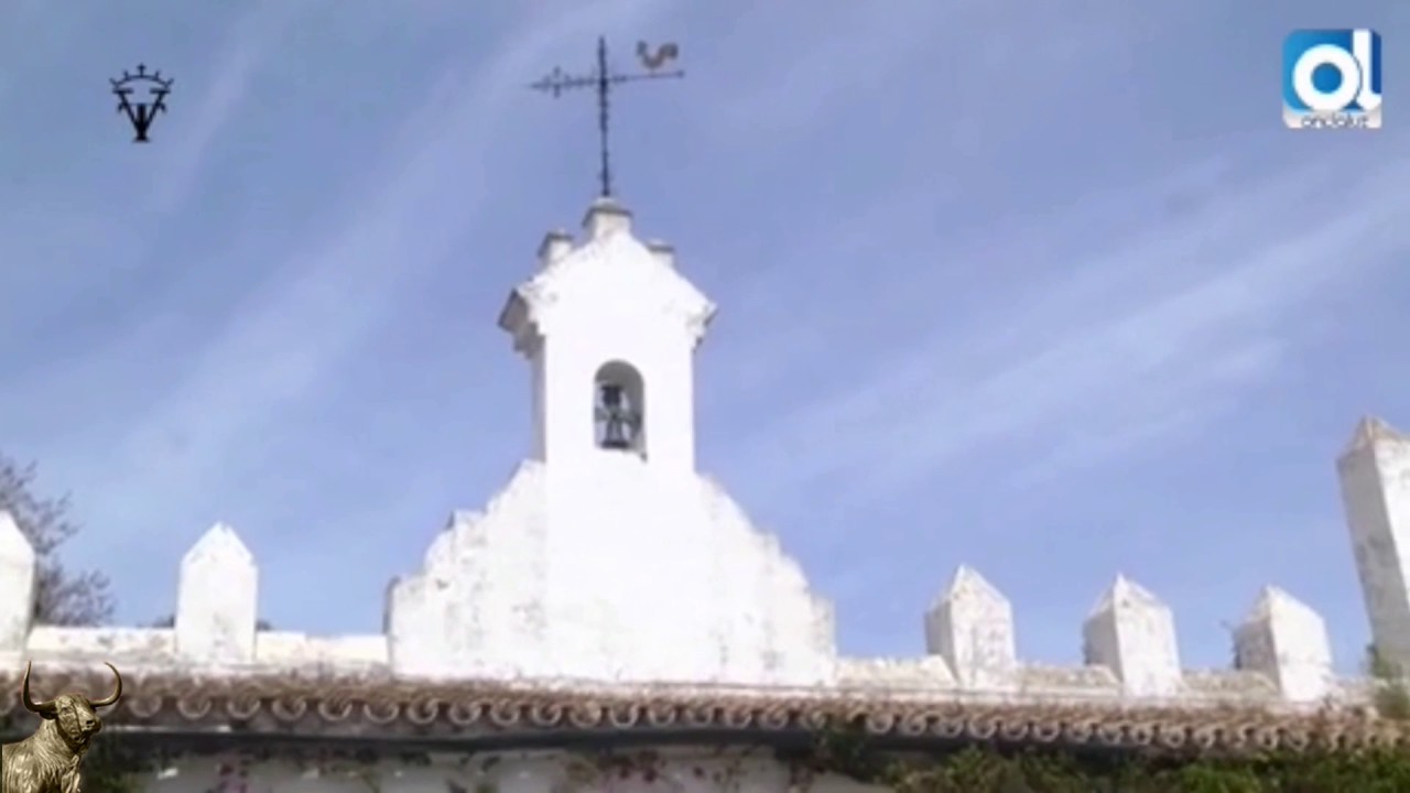 Dña. Rocío de la Cámara Isern